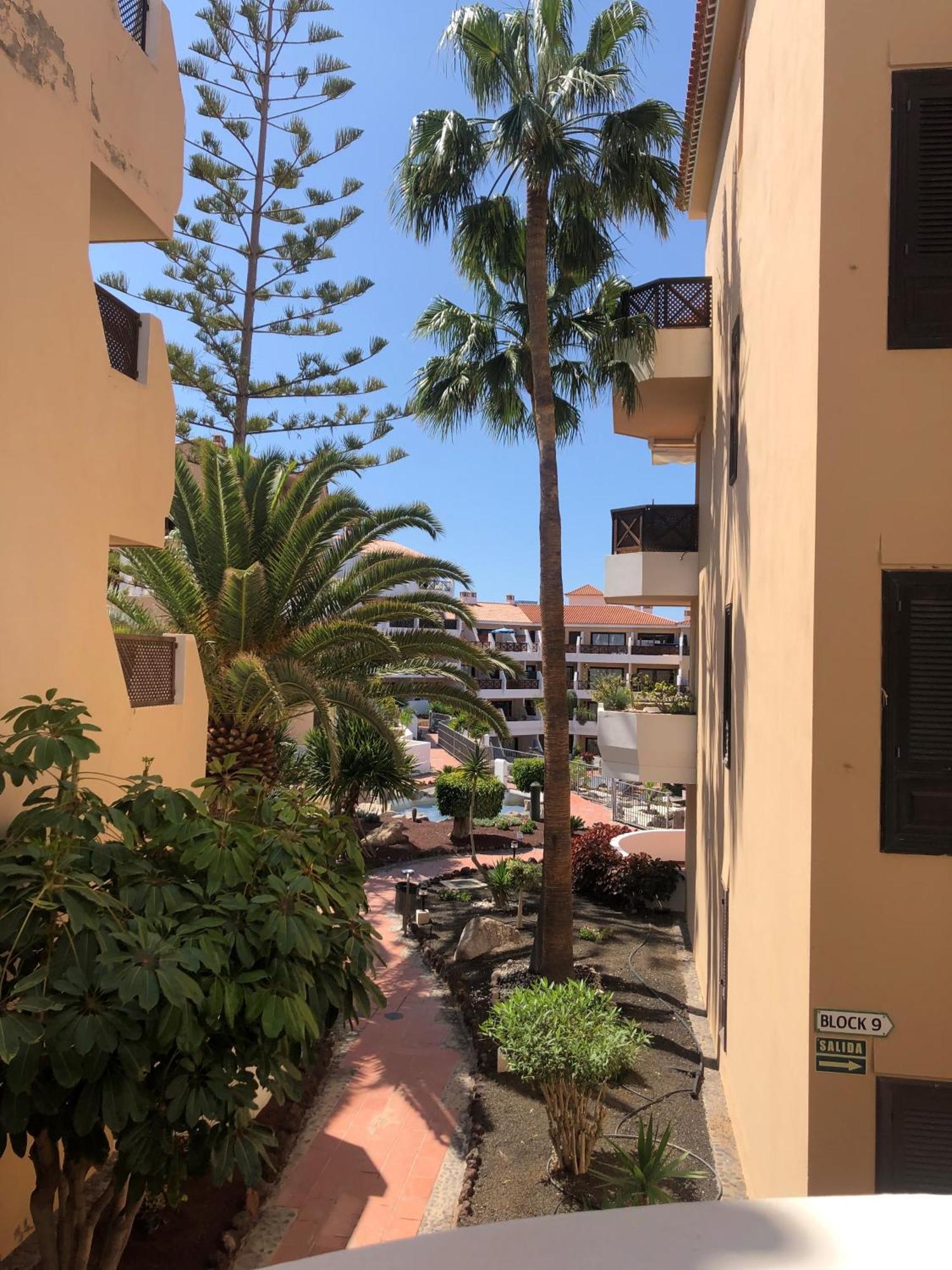 Apartamento Albatros Golf Del Sur Apt 257 圣米格尔德阿沃纳 外观 照片